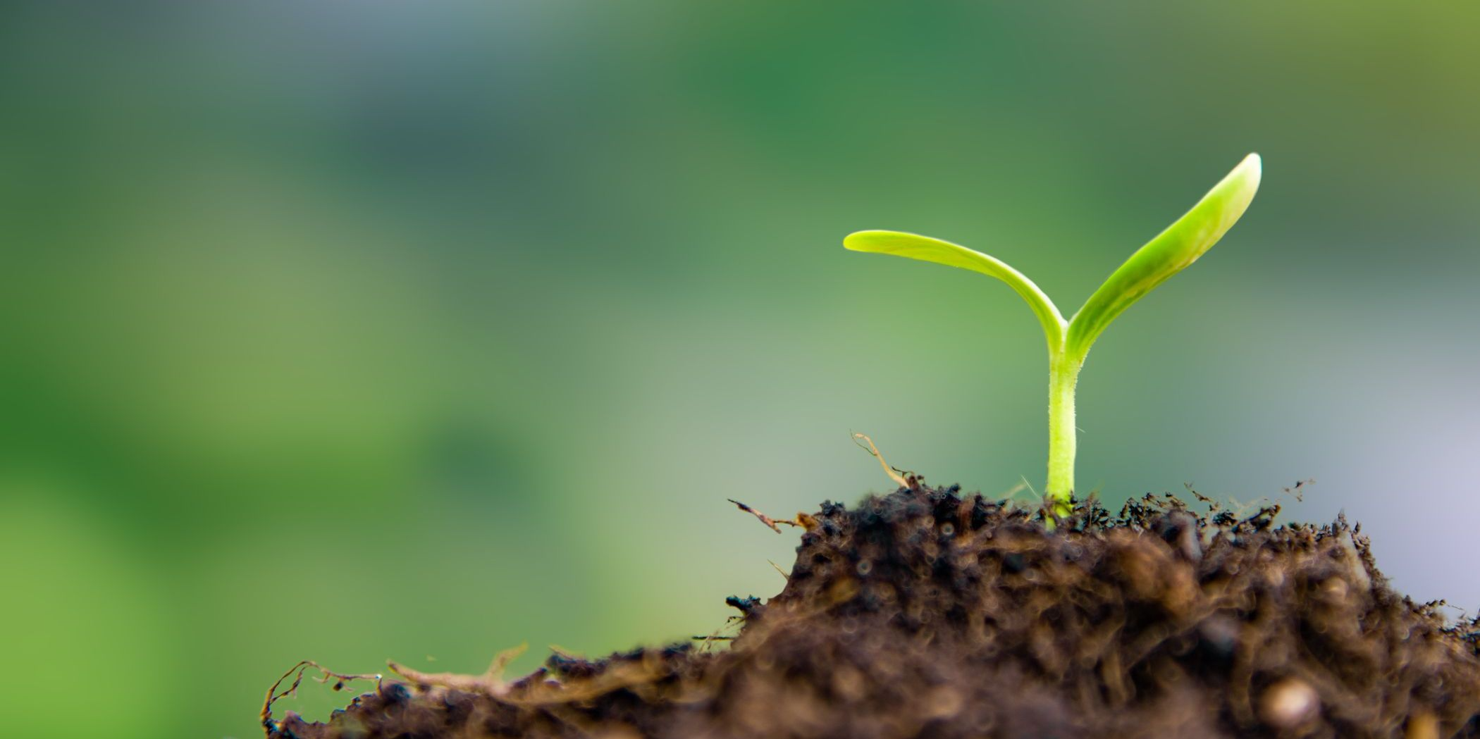 Fresh Financial Beginnings: One Step at a Time Hero Image