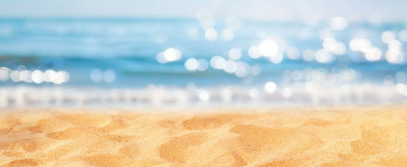 Small Businesses at the Jersey Shore Hero Image