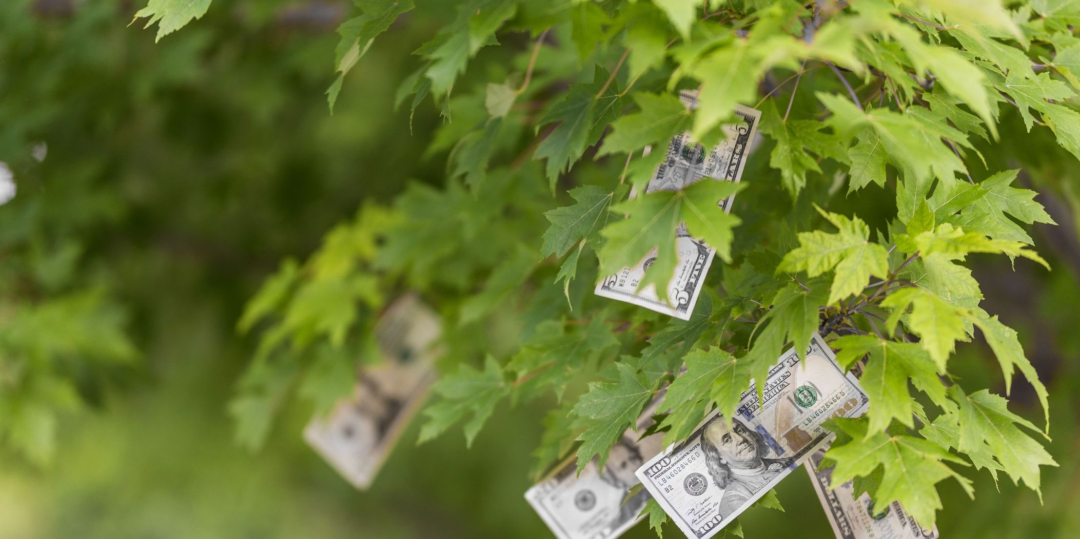 The Art of a Side-Hustle: What to Know About Income Outside of Your Day Job Hero Image