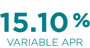 Secure Visa APR Icon Image